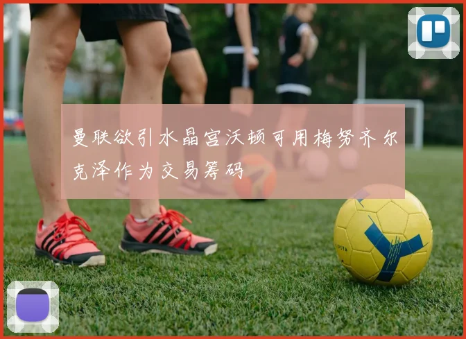 曼联欲引水晶宫沃顿可用梅努齐尔克泽作为交易筹码