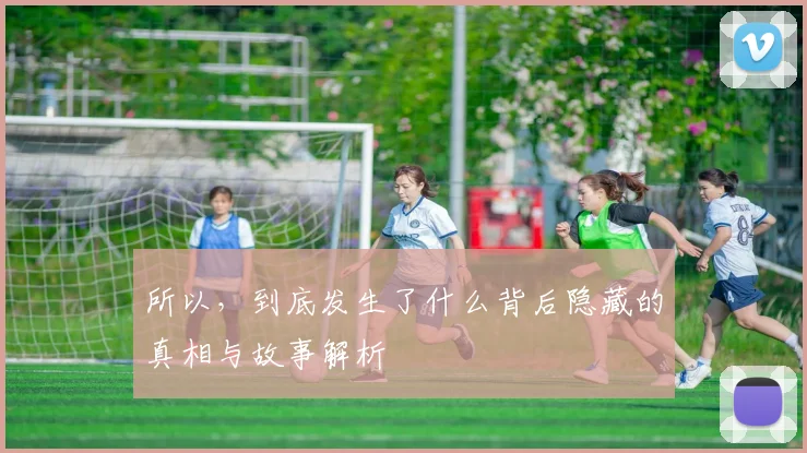 所以，到底发生了什么背后隐藏的真相与故事解析