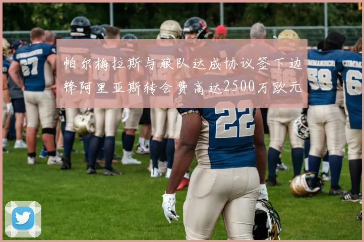 帕尔梅拉斯与狼队达成协议签下边锋阿里亚斯转会费高达2500万欧元